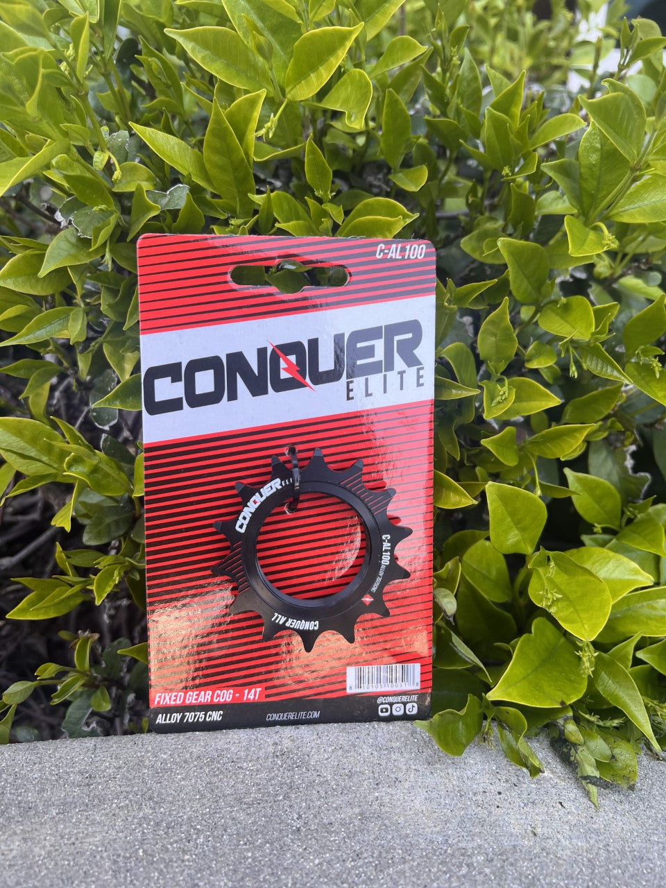 Conquer - Cog 14T